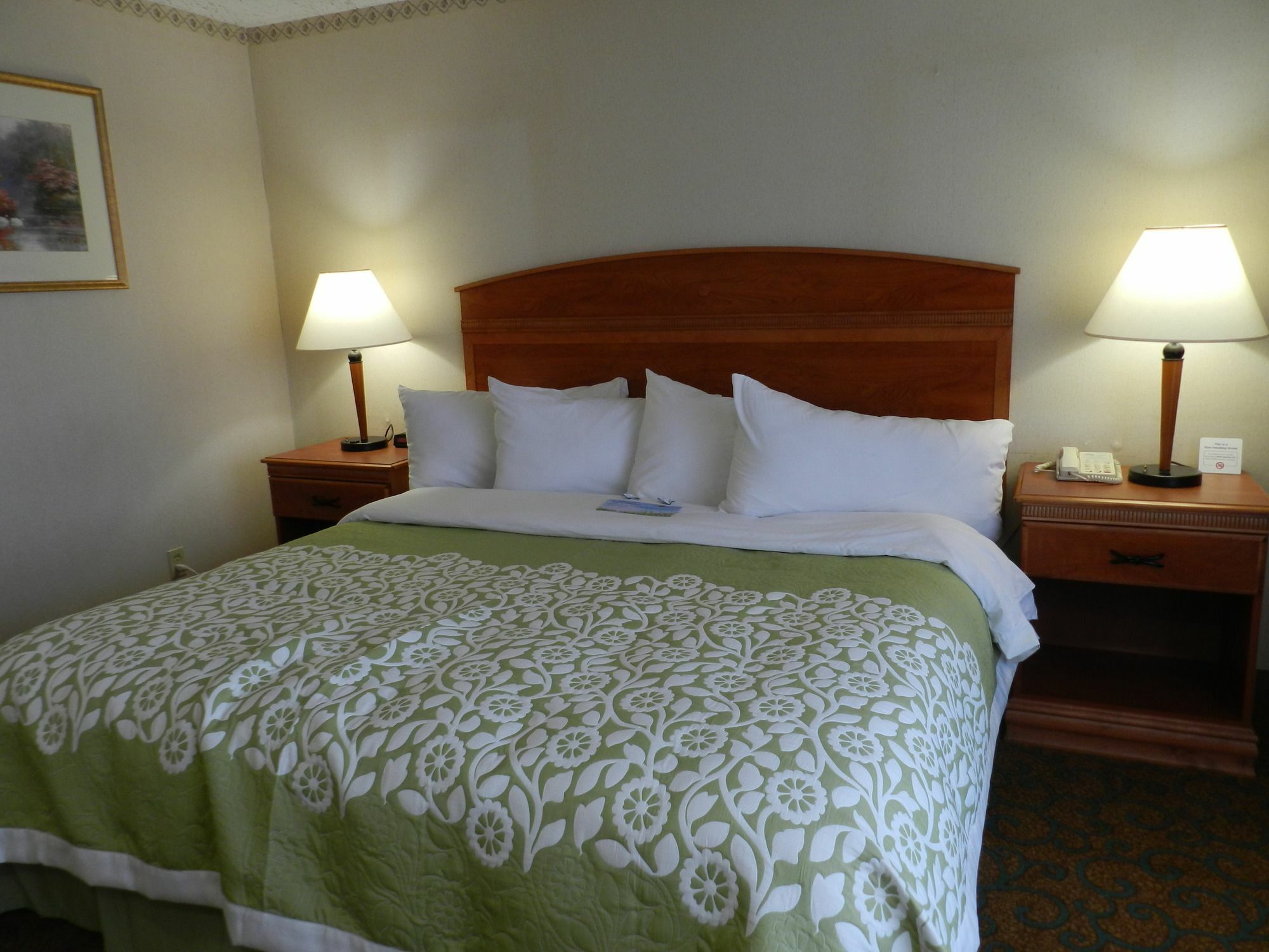 Clarion Pointe Rhinelander Downtown Hotel Buitenkant foto